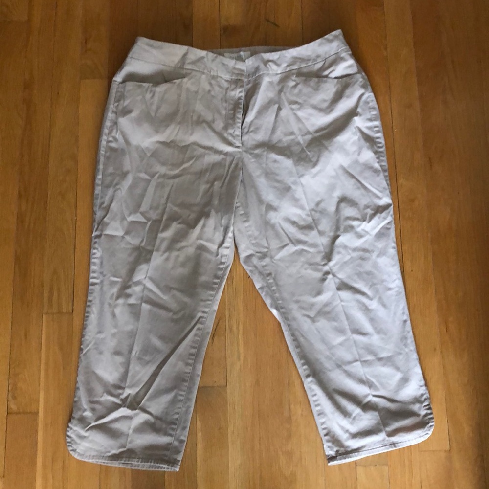 Talbots Tan Ankle Pants